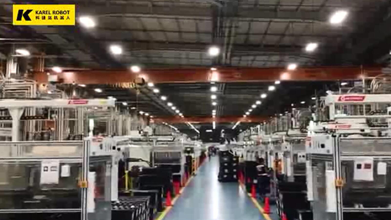 機械手與自動入箱機視頻