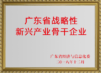 廣東省戰(zhàn)略性產(chǎn)業(yè)骨干企業(yè)（2018年12月）
