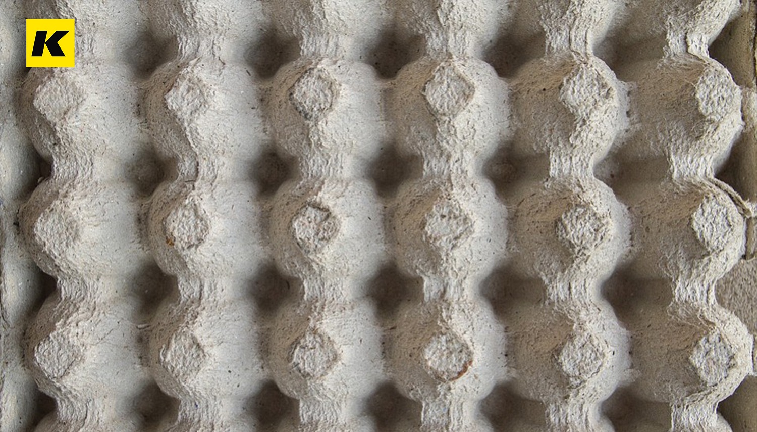 淺談廢紙再生在包裝領域的應用