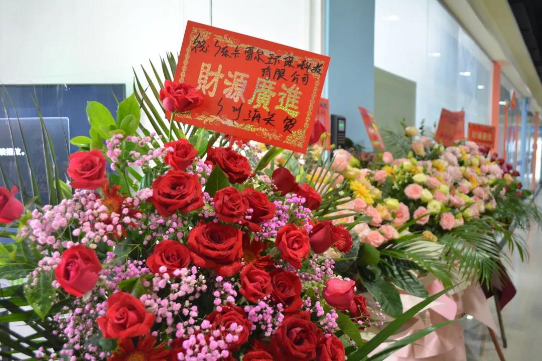 跑出世界速度，環(huán)保紙模先行者卡雷爾落地南沙